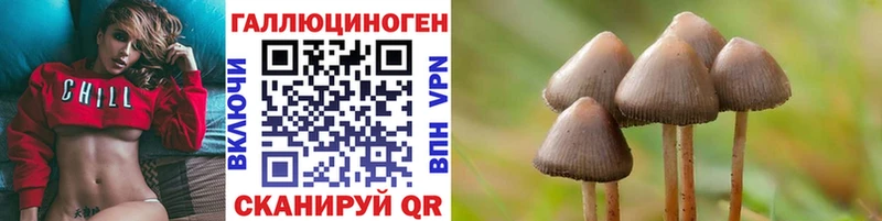 Галлюциногенные грибы MAGIC MUSHROOMS  где найти   Тавда 