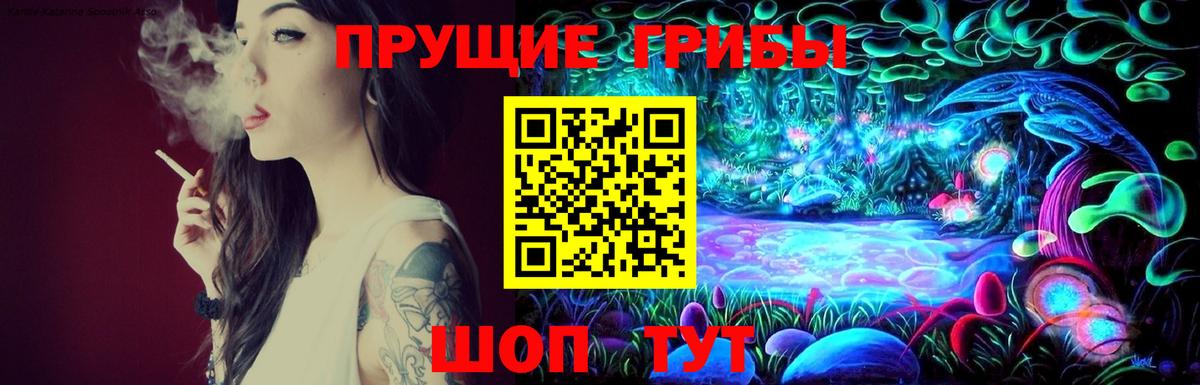 Галлюциногенные грибы GOLDEN TEACHER Тавда